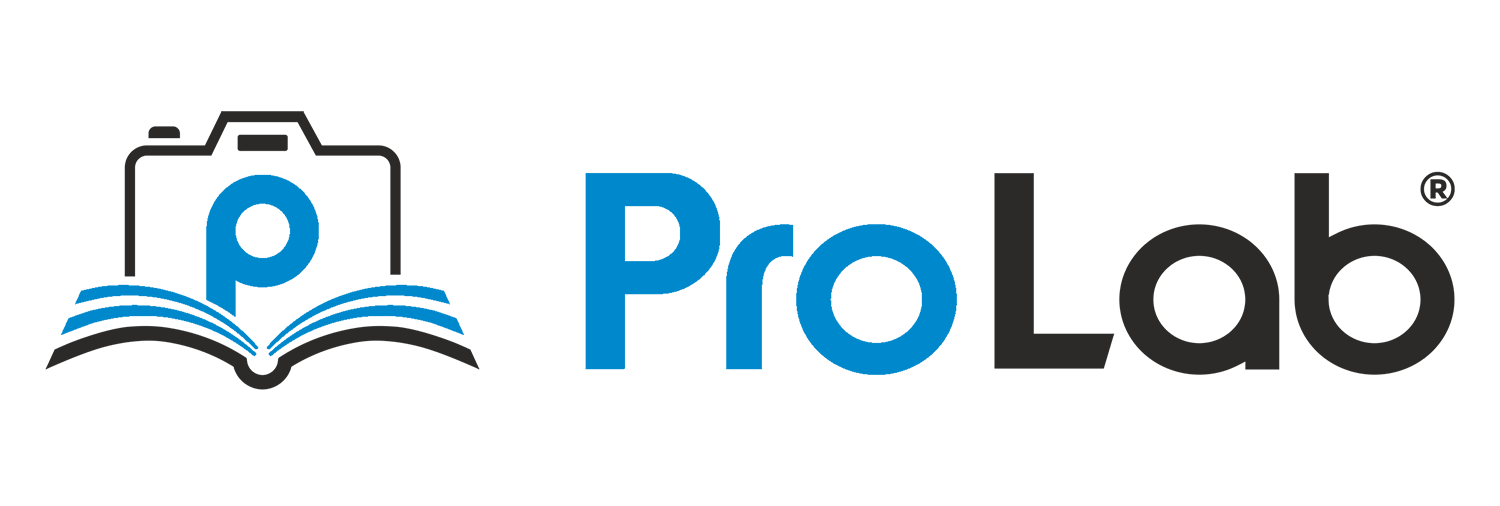 PROLABONLINE Logo