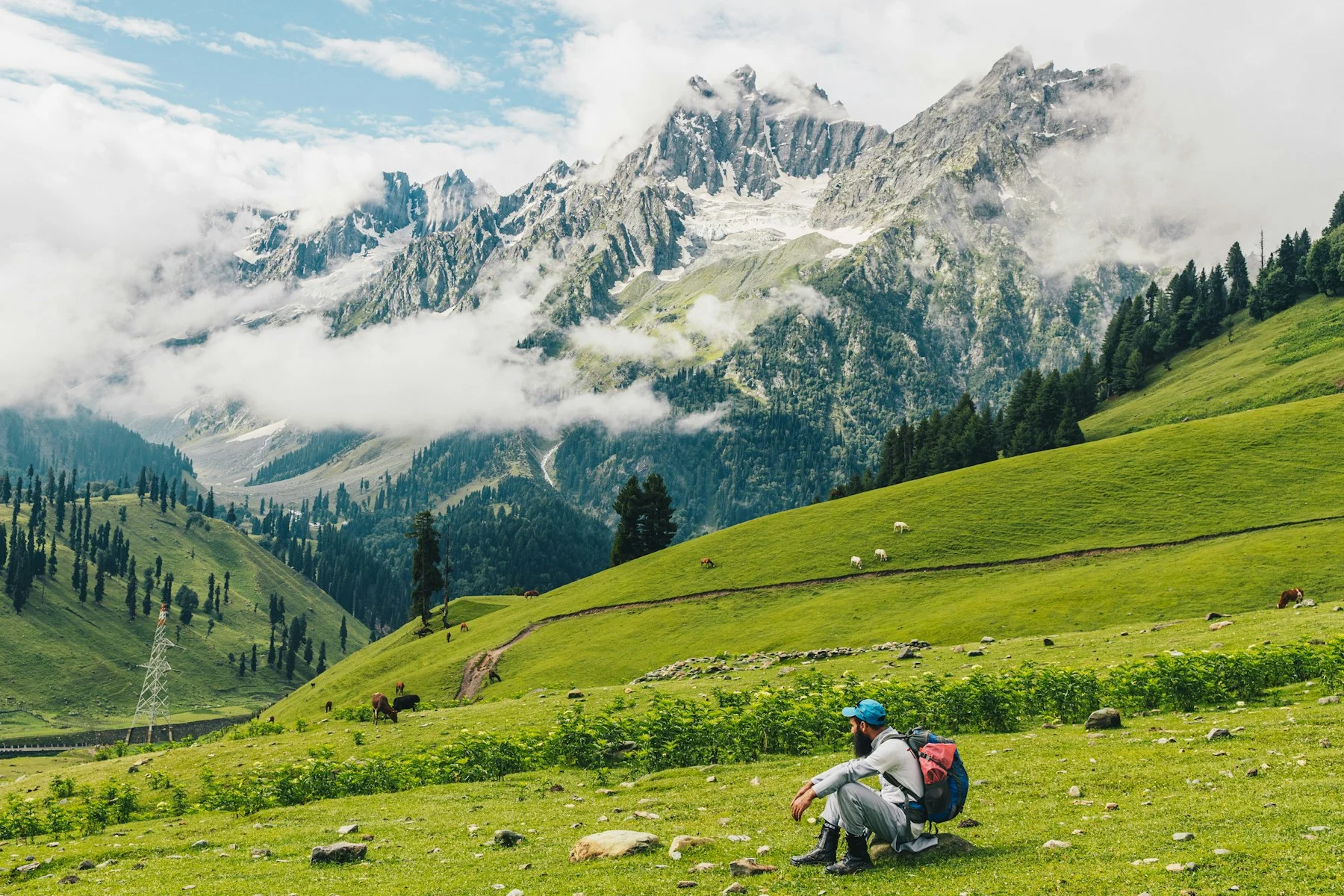 Green slopes in Kashmir